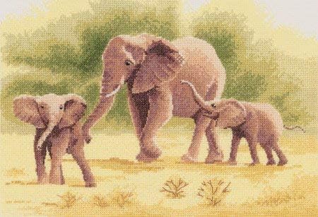 Elefántok - 14 count Aida - keresztszemes Készlet