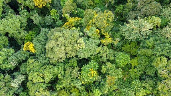 Pop Art vs Cubisme : deux mouvements artistiques à la loupe