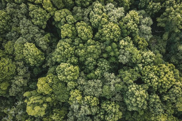 Pathologies courantes chez les travailleurs manuels : prévention et soins